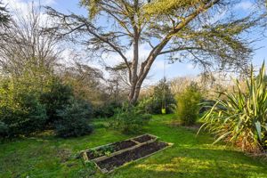 Garden- click for photo gallery